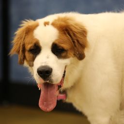 photograph by PeterW